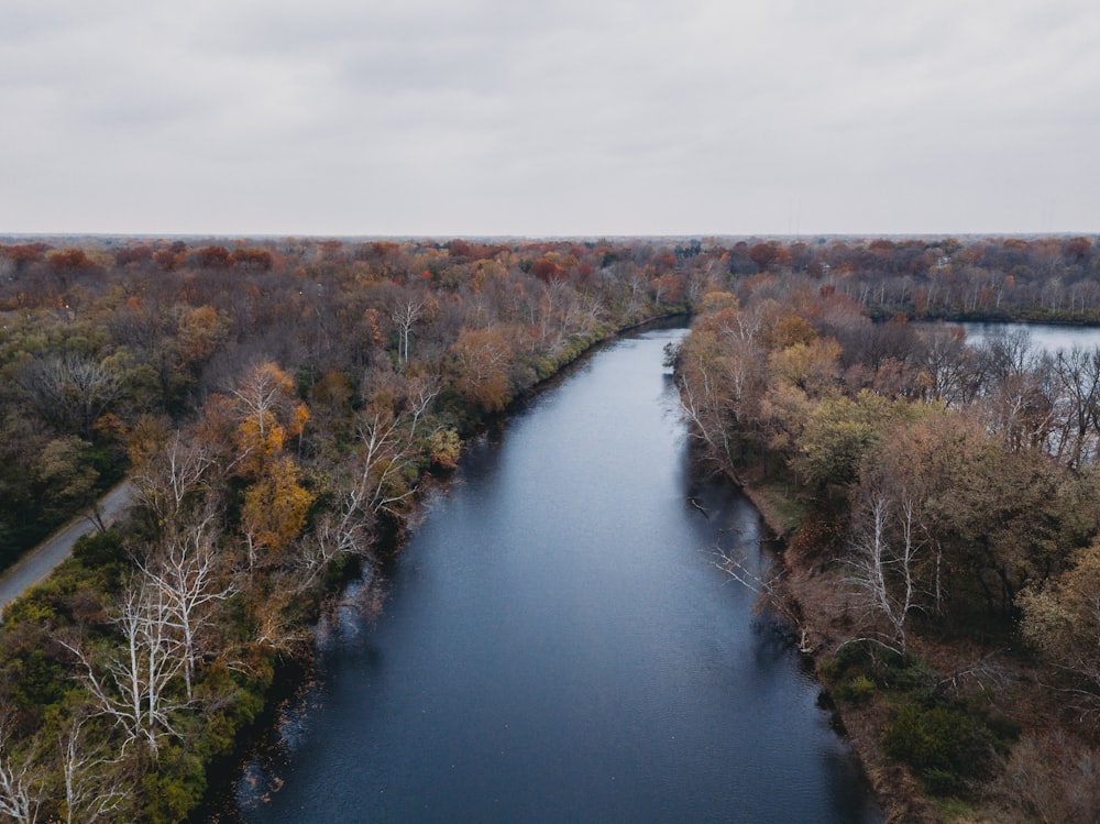 an aerial view of a river surrounded by trees