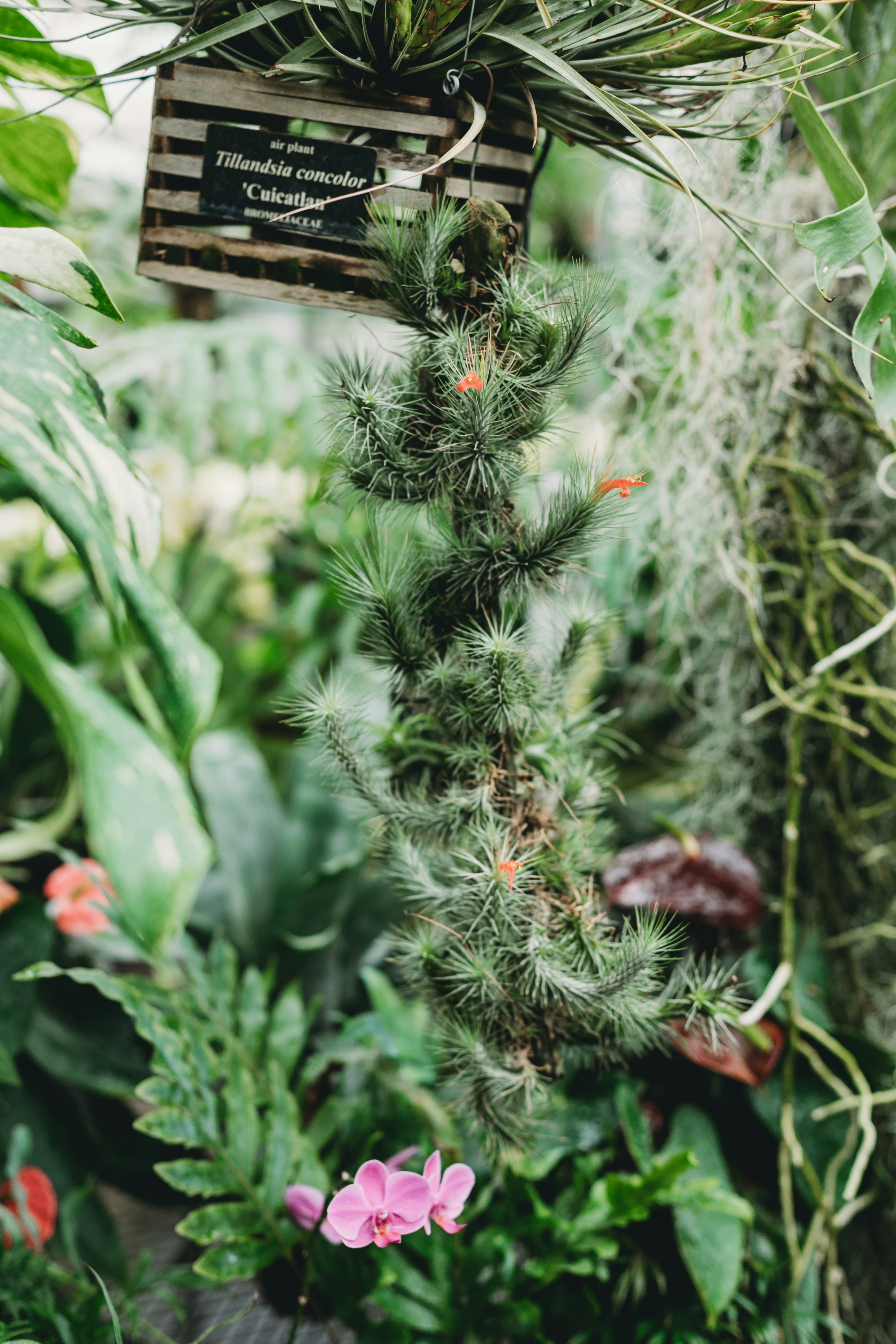 Photo by stevenvanelk