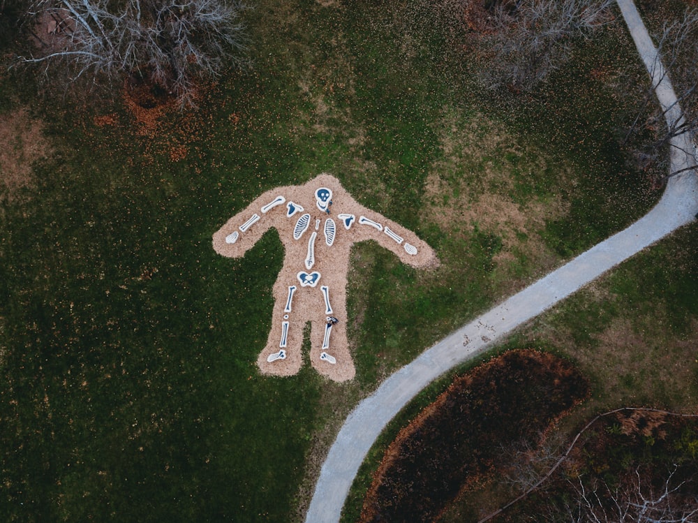 an aerial view of a man's body in the grass