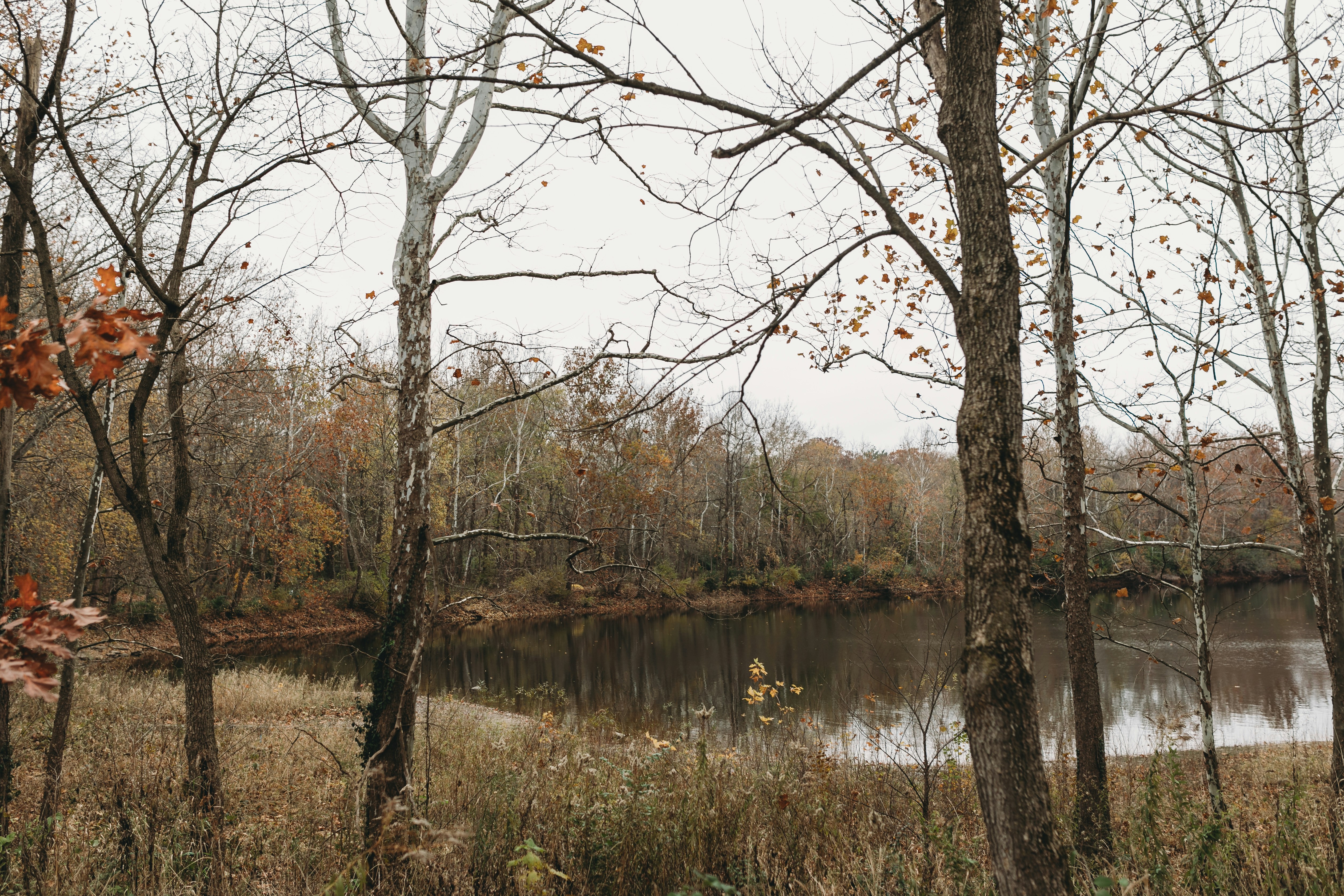 Photo by stevenvanelk