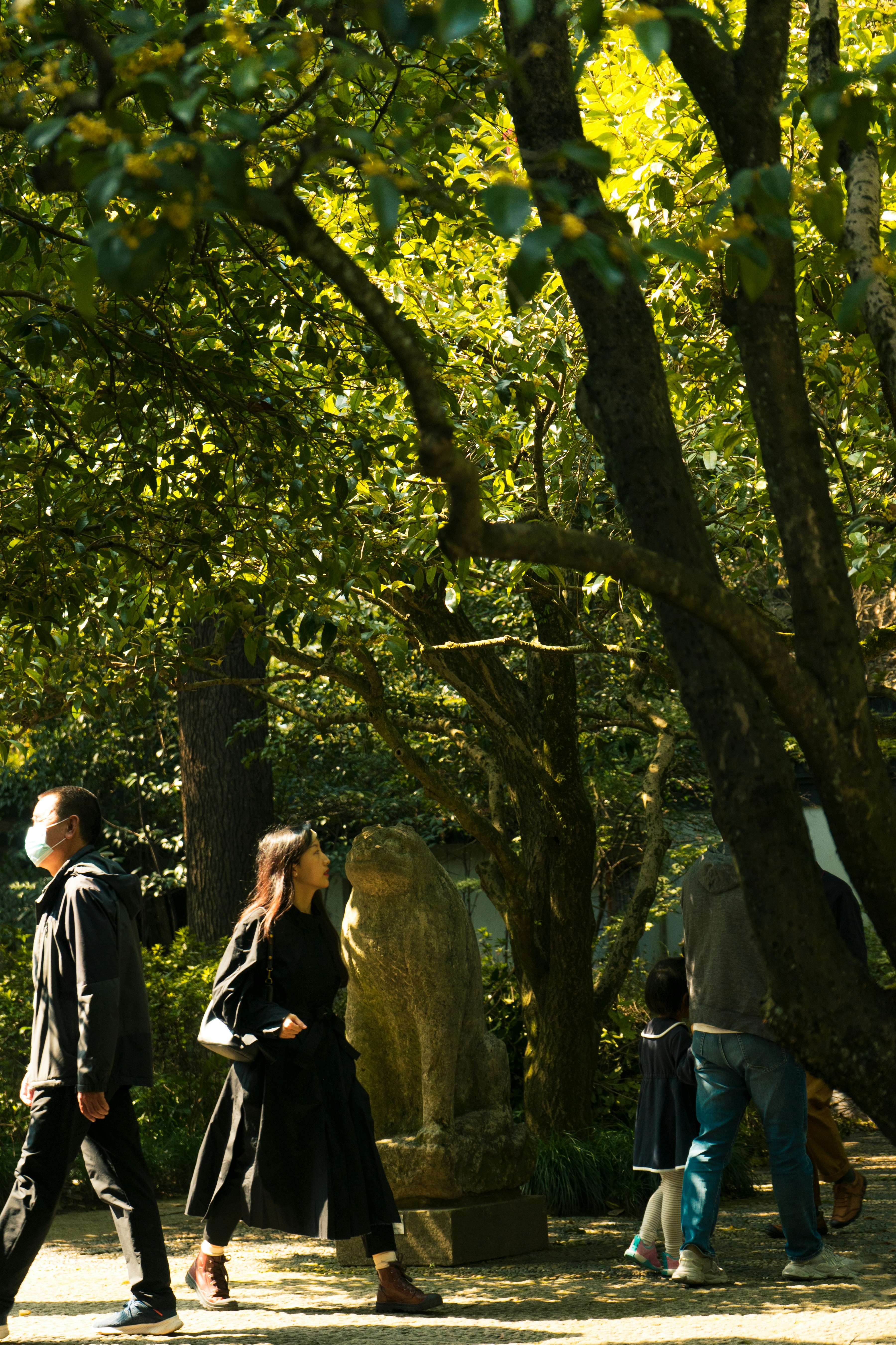 A group of people walking through a park photo – Free Fall Image on ...