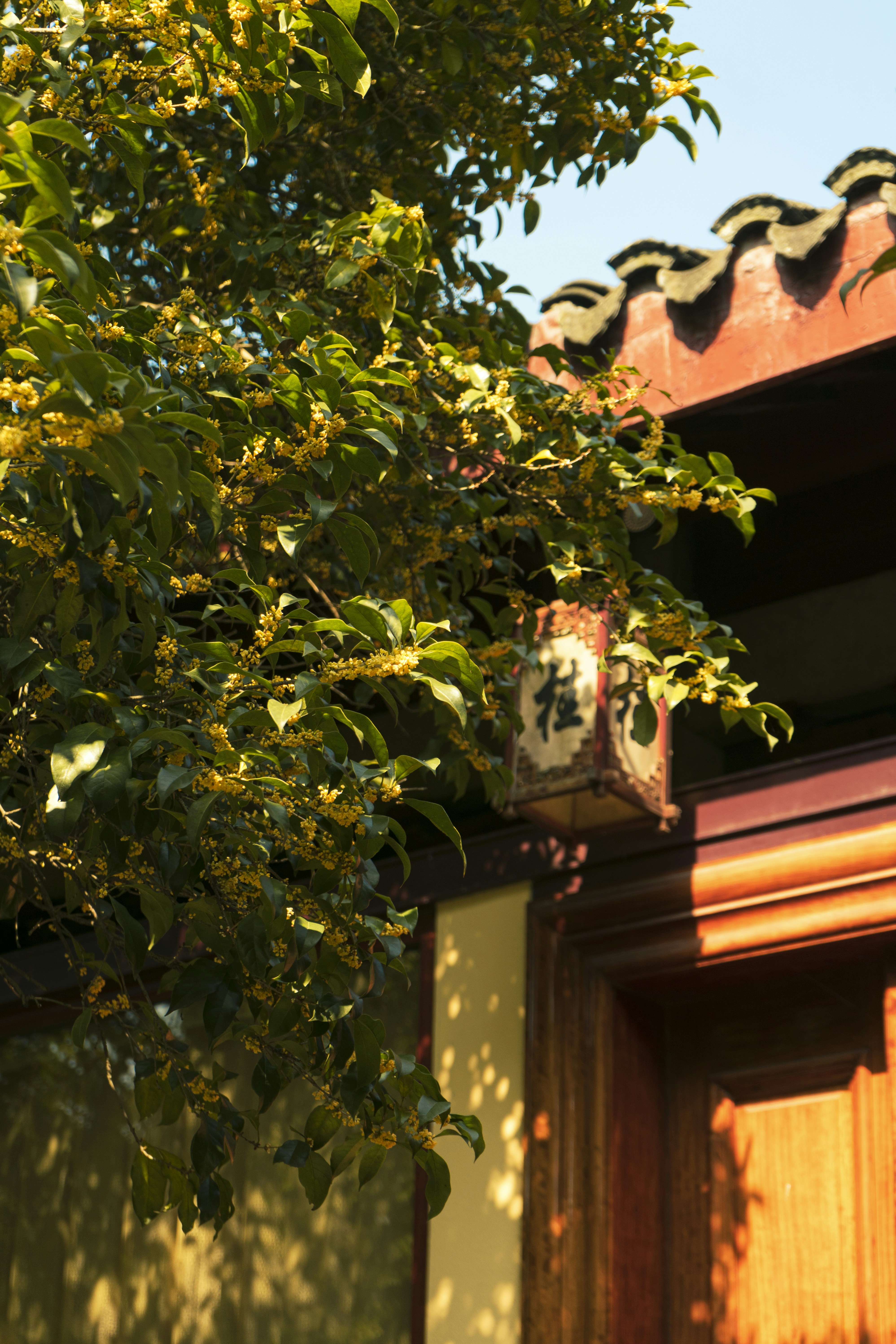 Photo by jeffreyzhang_920