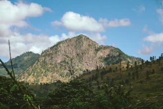 A view of a mountain with trees and clouds