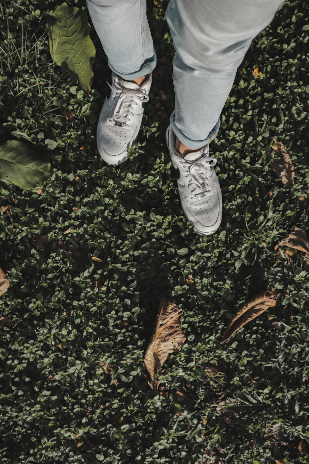 a person standing on a lush green field