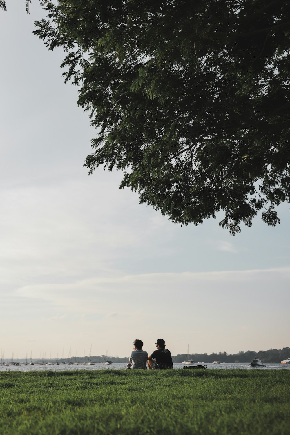 two people sitting on a bench under a tree