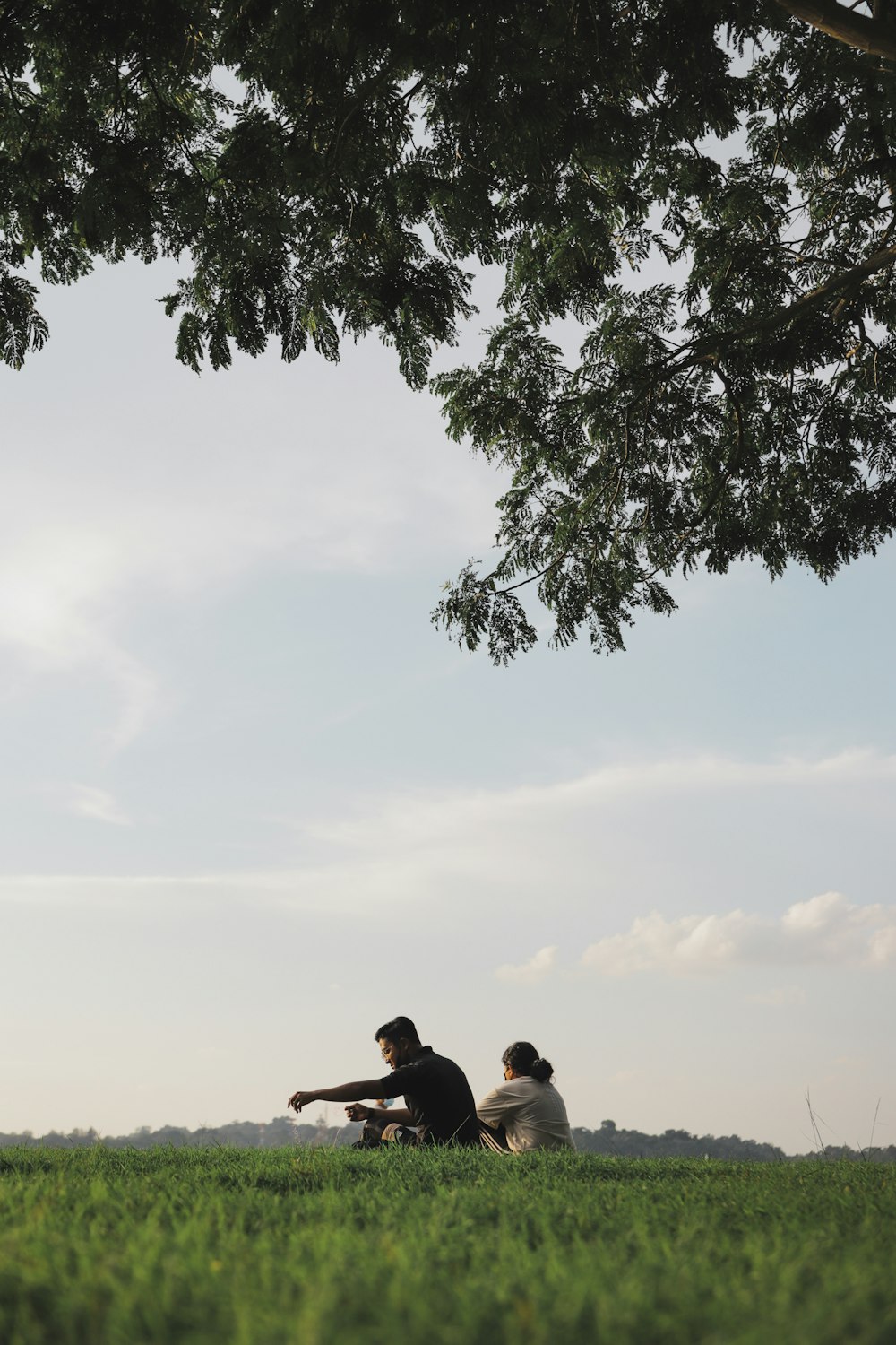 a couple of people sitting on top of a lush green field