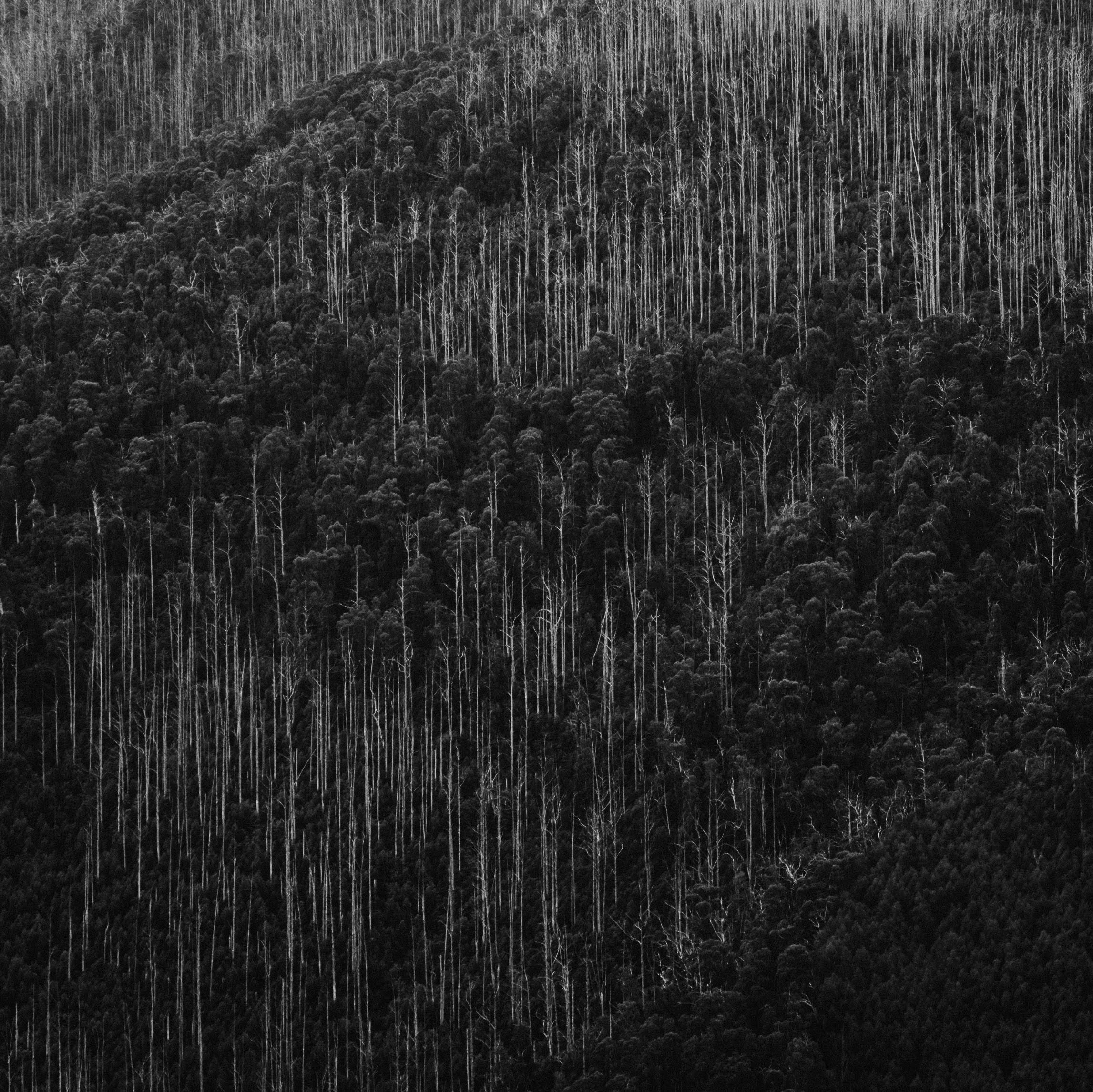 Photo by dheeraj1102