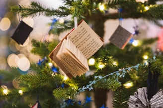 A close-up view of a Christmas tree adorned with unique decorations such as books hanging from the branches. The tree is lit with warm white fairy lights, and there are blue star garlands also draped around the branches. The background features soft bokeh circles from additional lighting, creating a festive and cozy atmosphere.