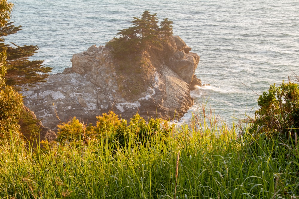 a rocky outcropping on the edge of a body of water
