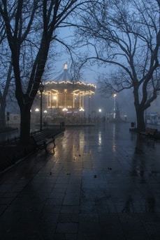 A shadowy carousel under moonlight framed by twisted tree branches, evoking an eerie amusement park scene.