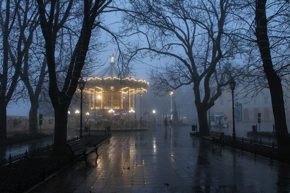 a merry go round in the rain at night