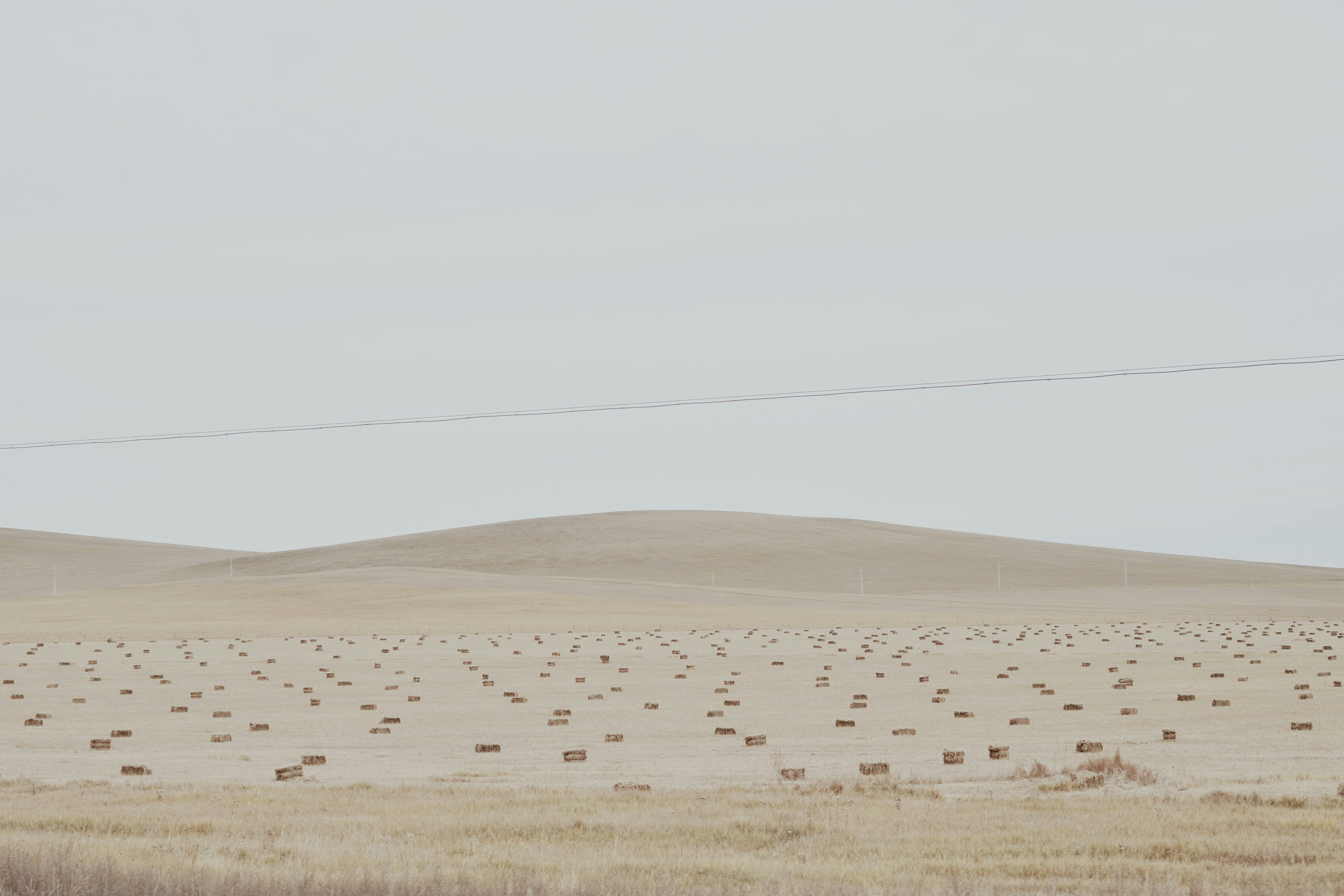 Prairie des Filtres photo 3