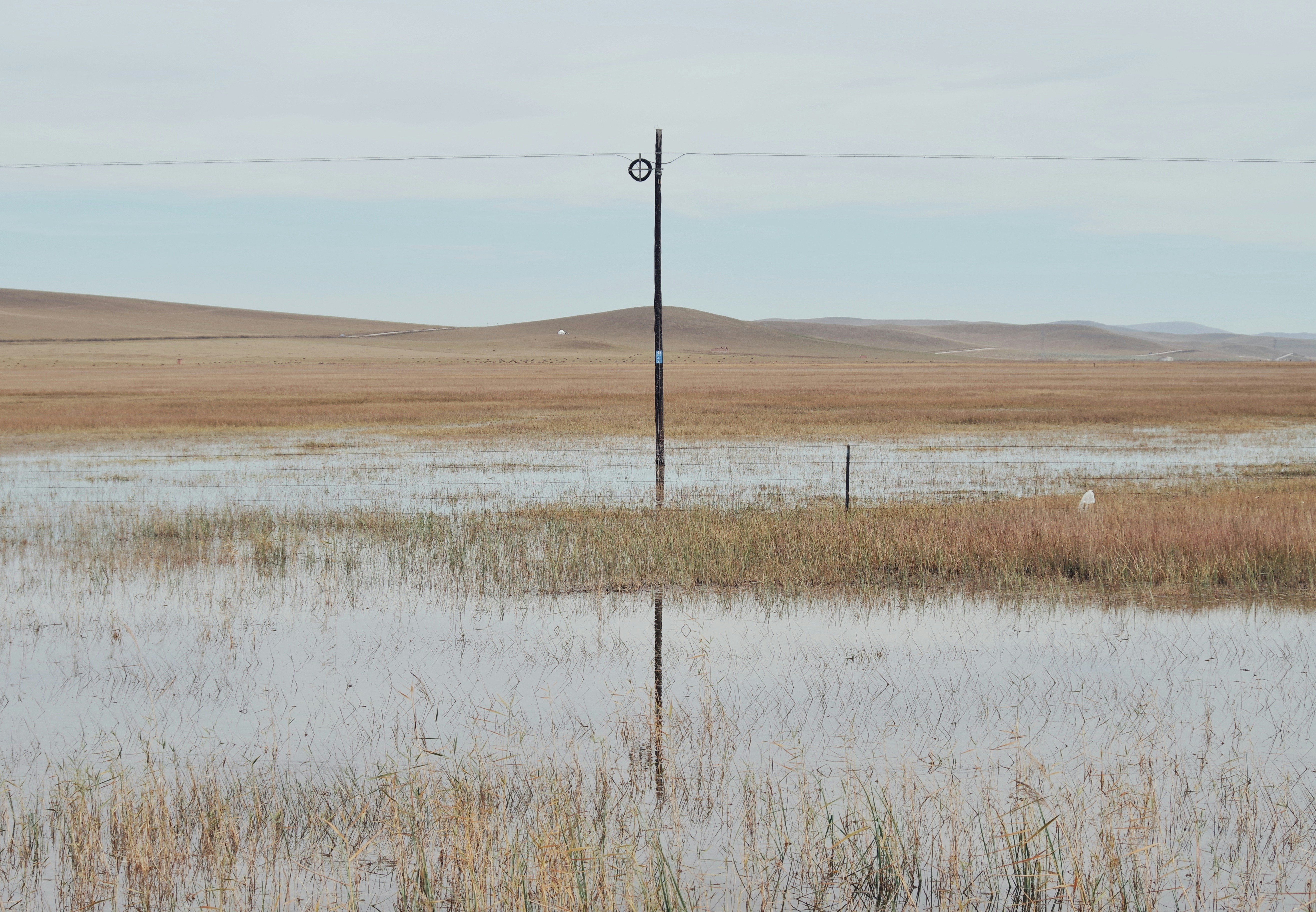 a flooded field with a telephone pole in the middle of it