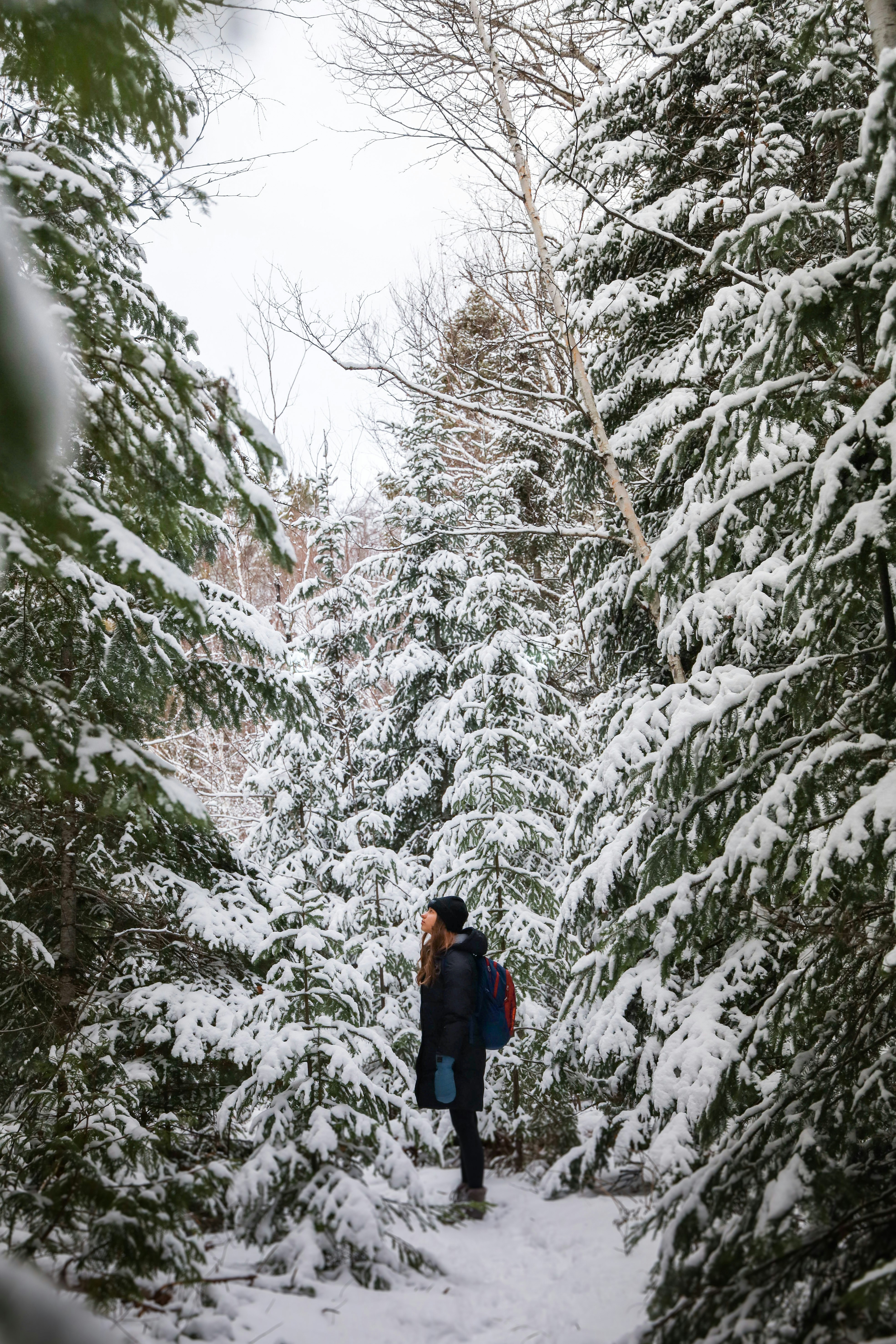 a person walking through a snow covered forest