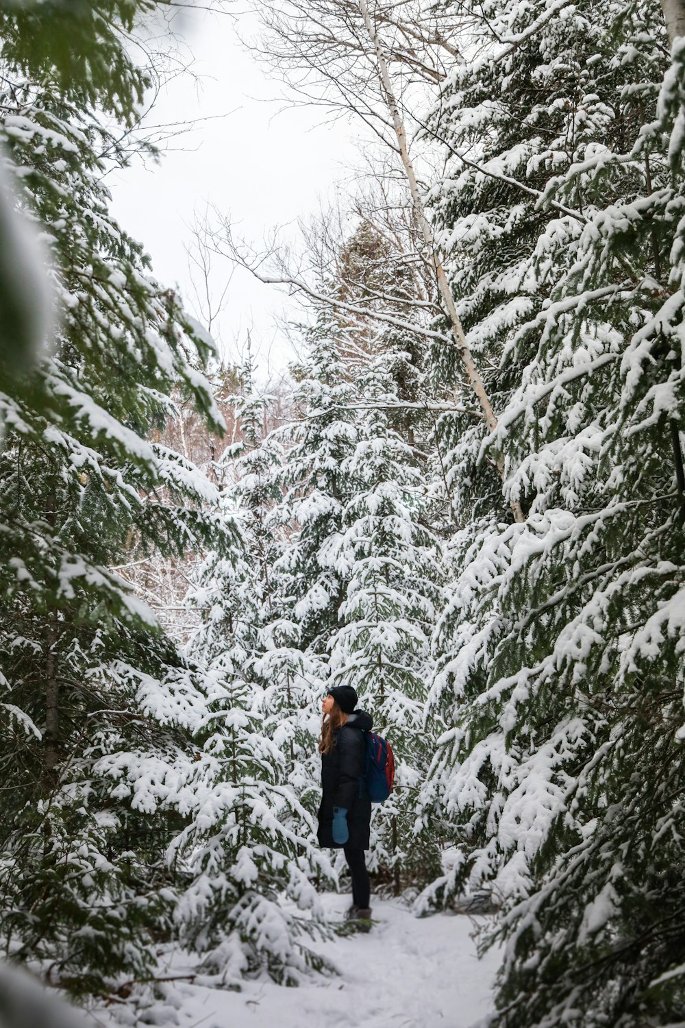 a person walking through a snow covered forest