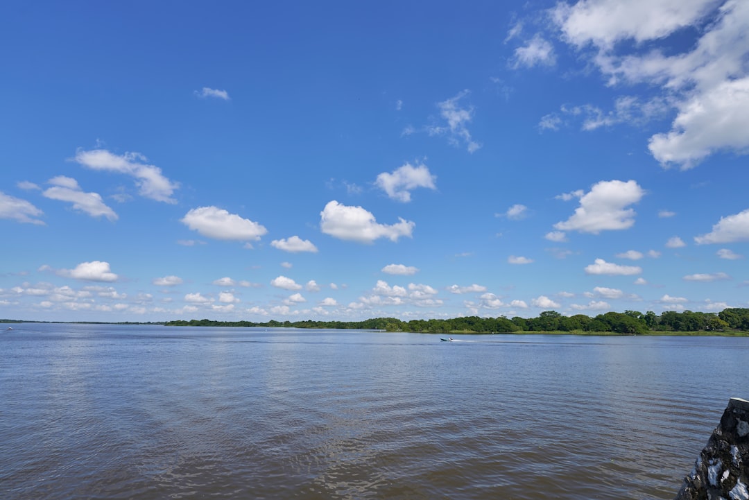 a body of water with trees in the background,
