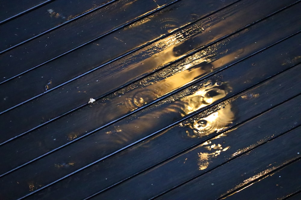 a reflection of a face in a puddle of water