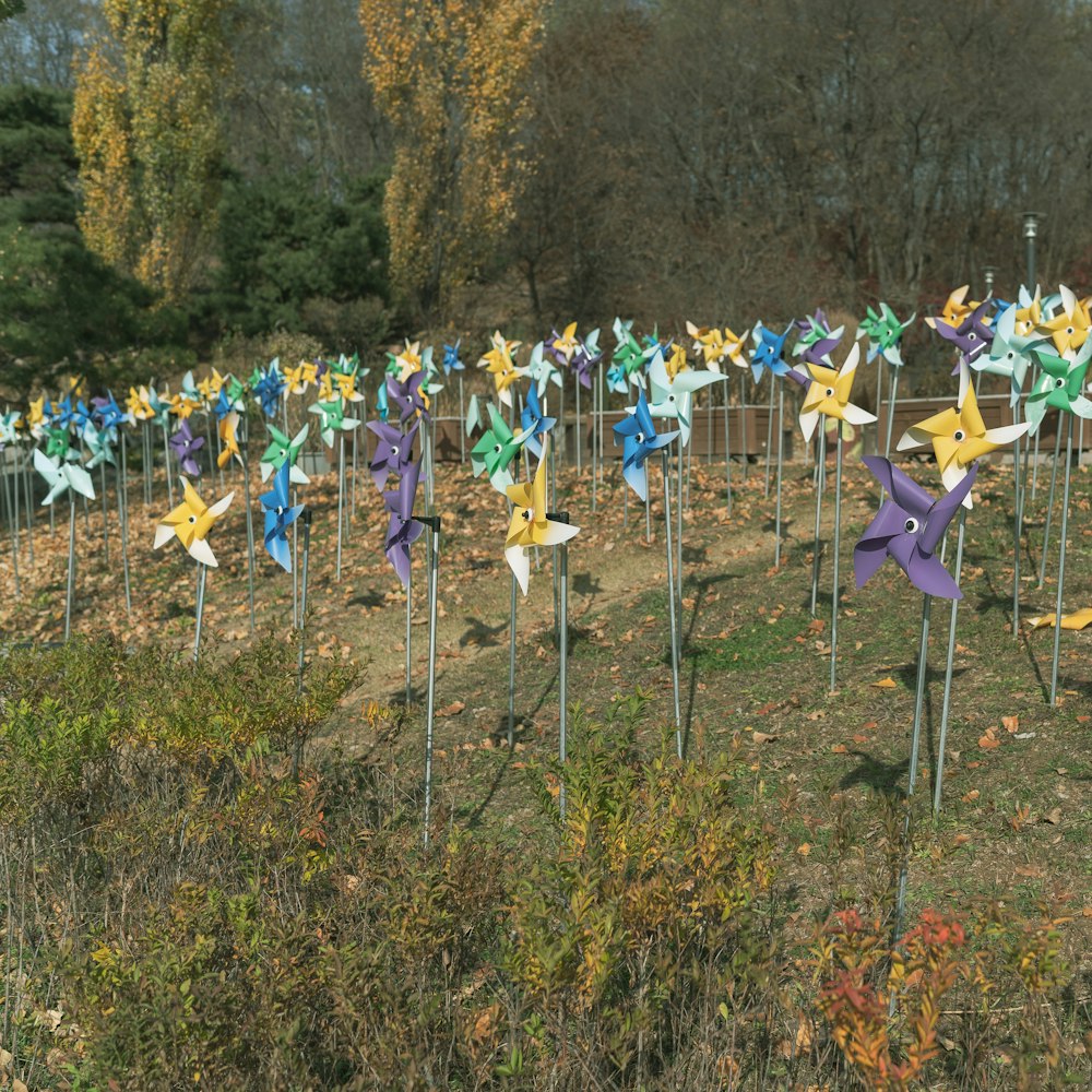 a bunch of pinwheels that are in the grass