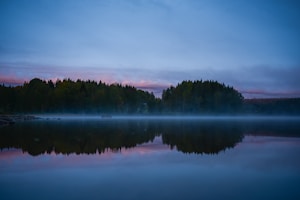 A serene landscape with a calm lake reflecting the dense, lush forest along its shoreline. The sky is a gradient of blue with hints of pink and purple, suggesting an early morning or late evening. A mist gently hovers over the lake, adding a mystical and tranquil atmosphere.