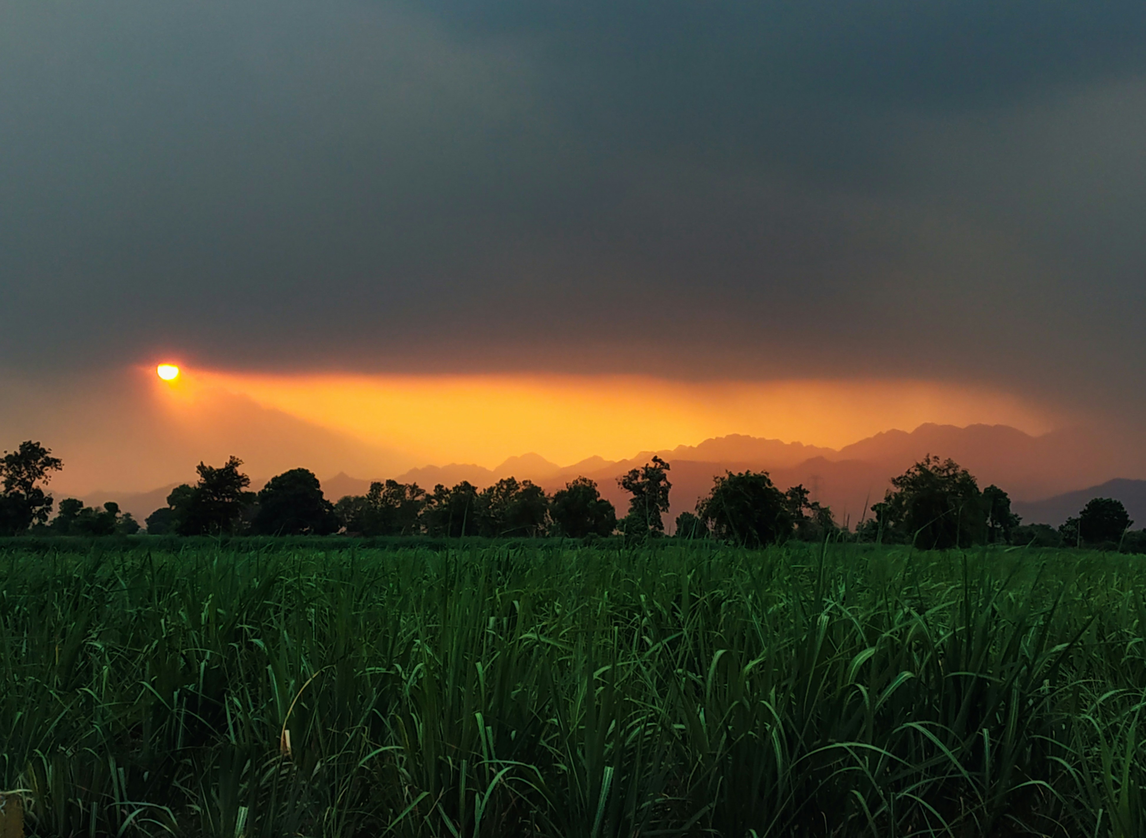 Photo by atomsmasher