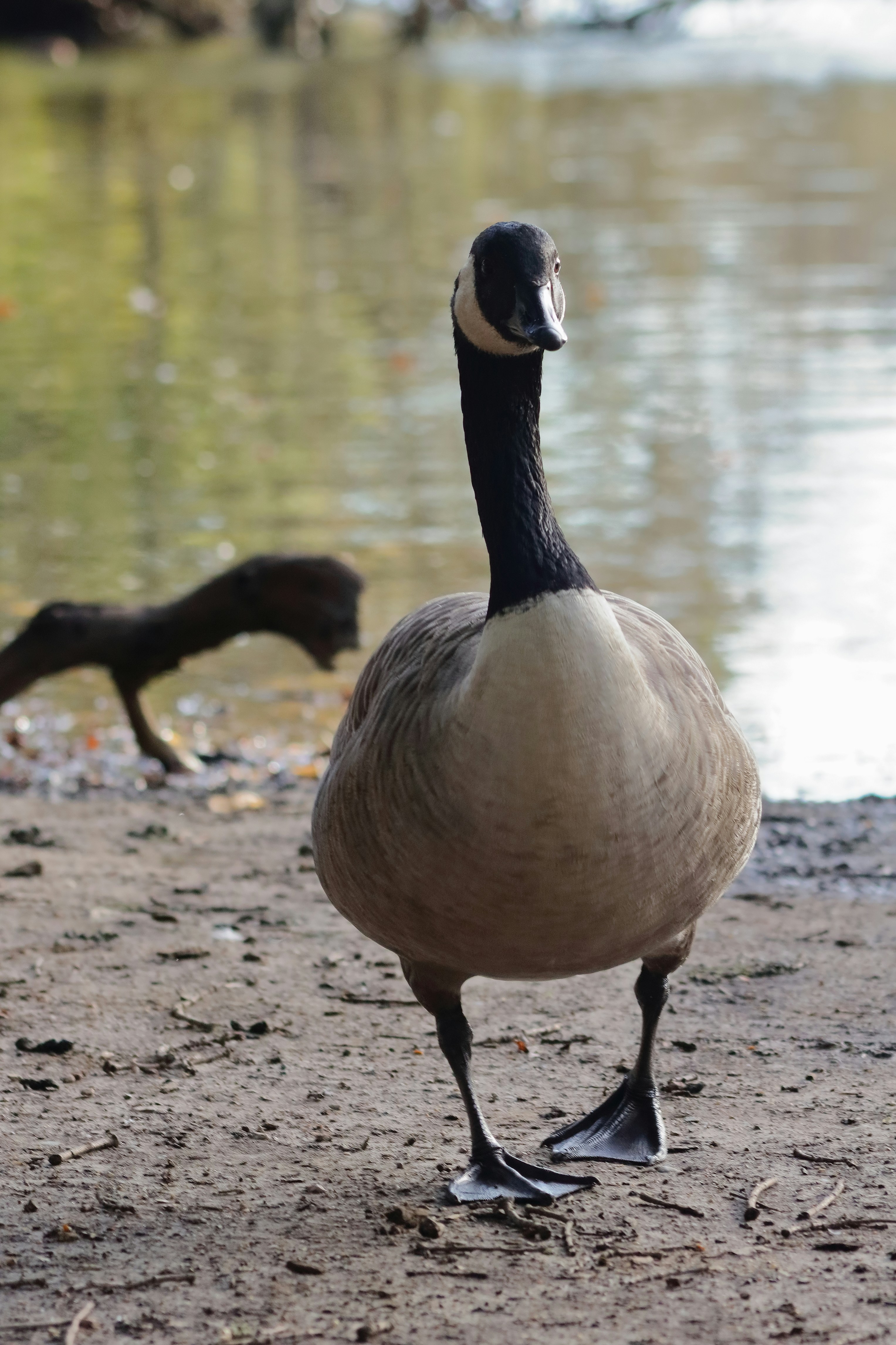 Photo by etrephotography