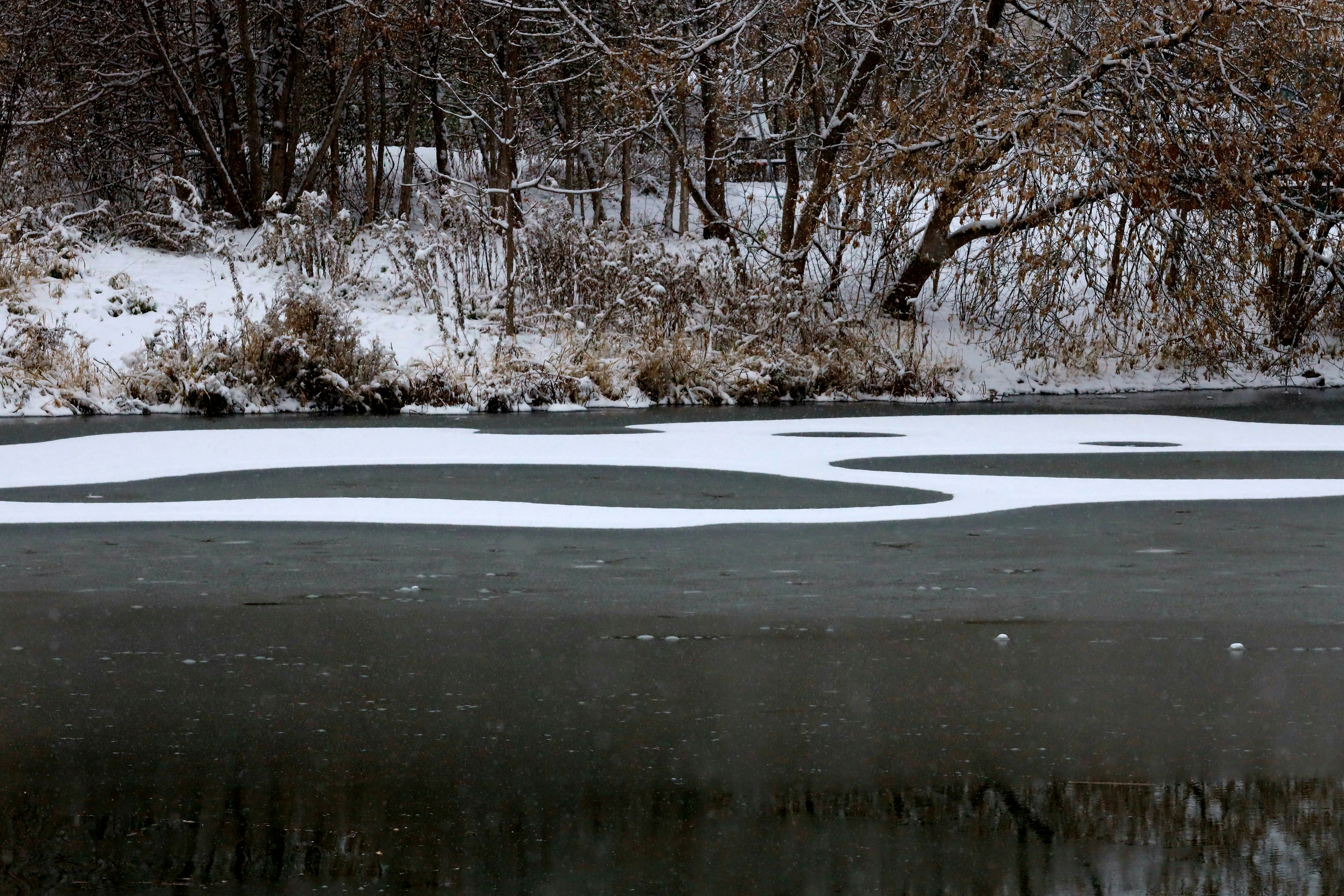 Photo by richardworks