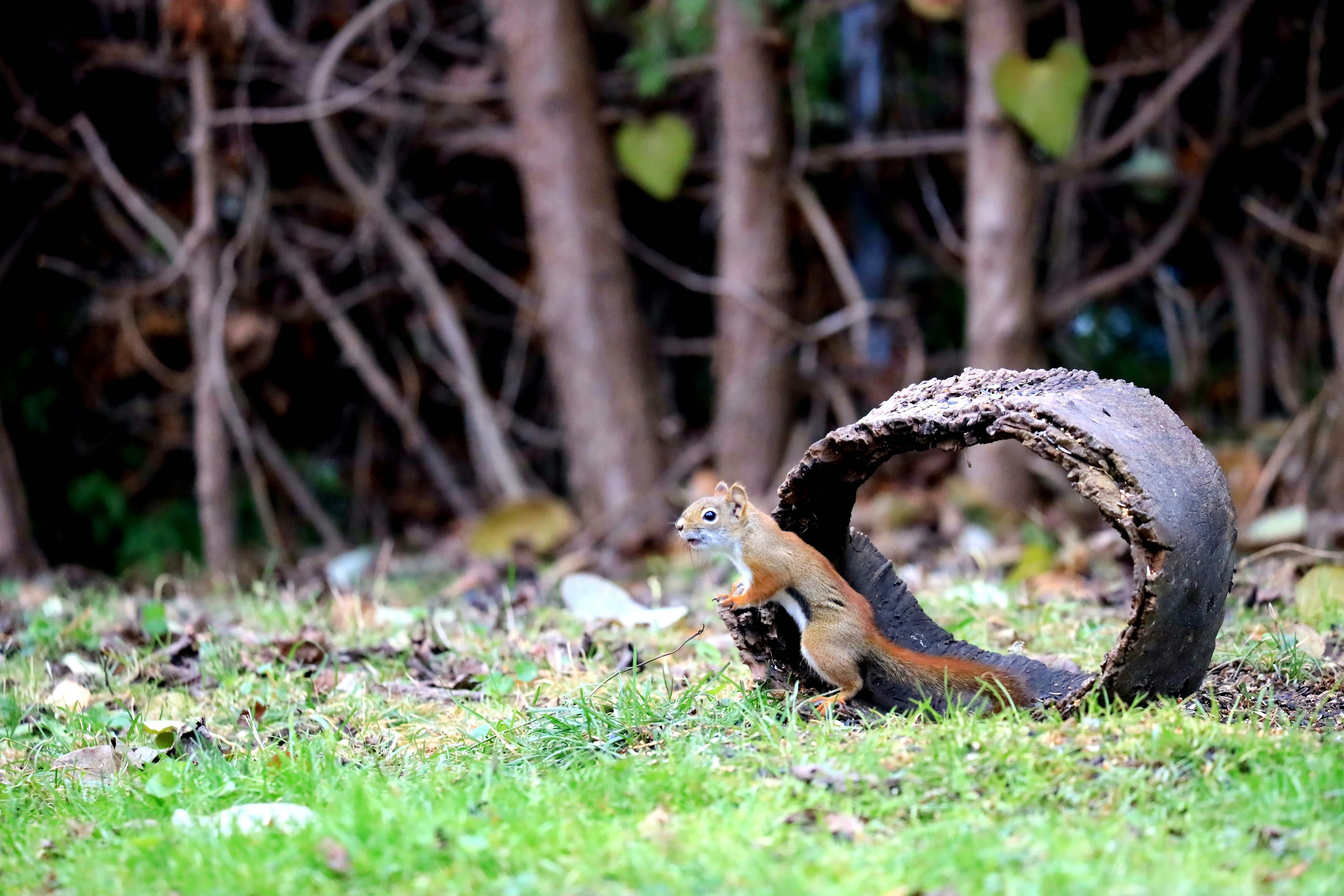 Photo by richardworks