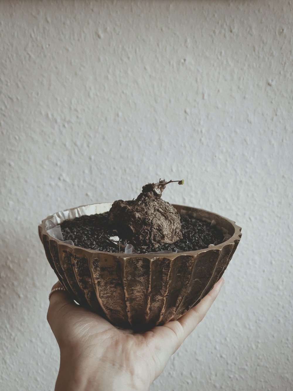 a person holding a bowl with dirt in it