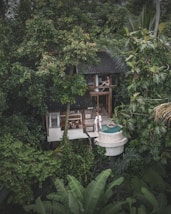 a small house in the middle of a forest