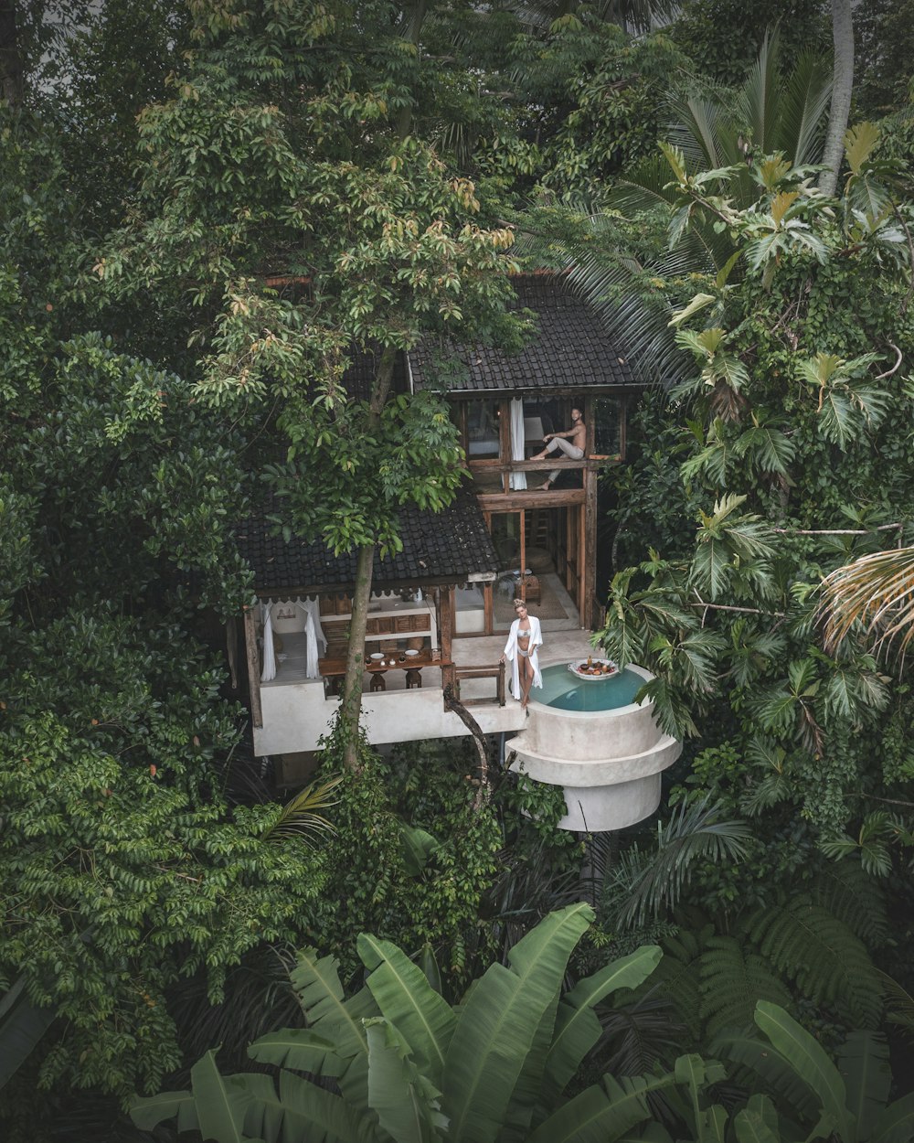 Una pequeña casa en medio de un bosque