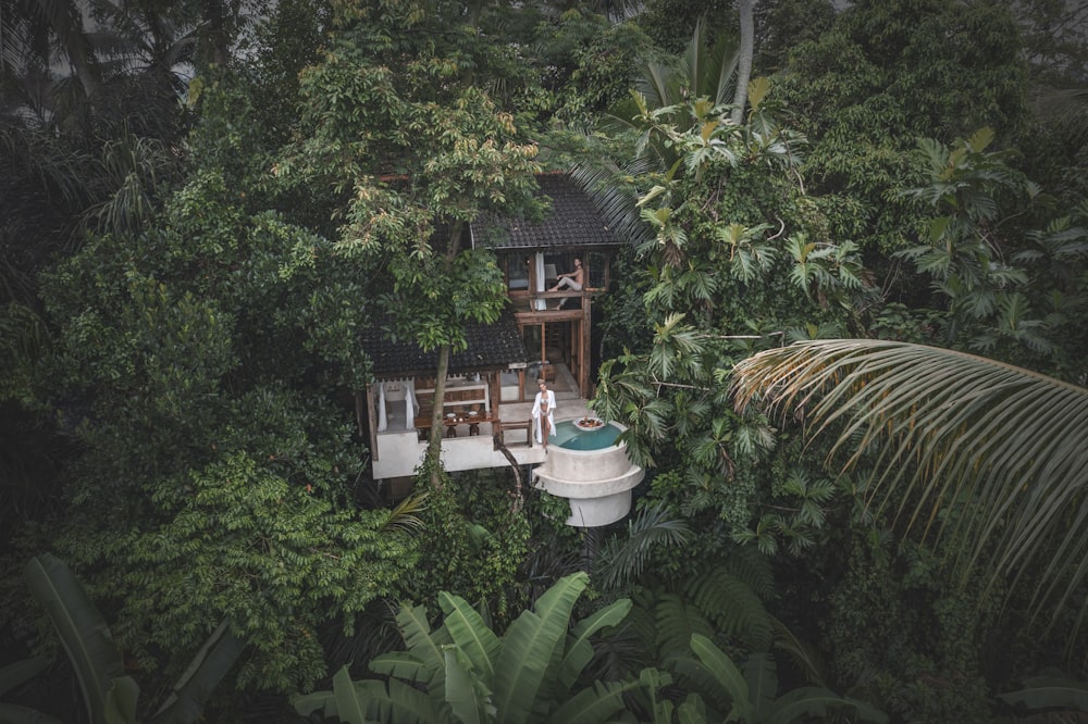 a small house in the middle of a forest