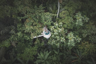 Aerial view of a luxurious, circular pool on a rooftop balcony nestled among dense, lush green tropical foliage.