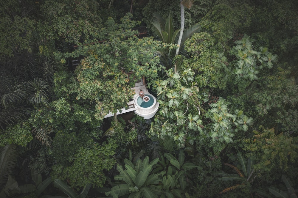 an aerial view of a toilet in the middle of a forest