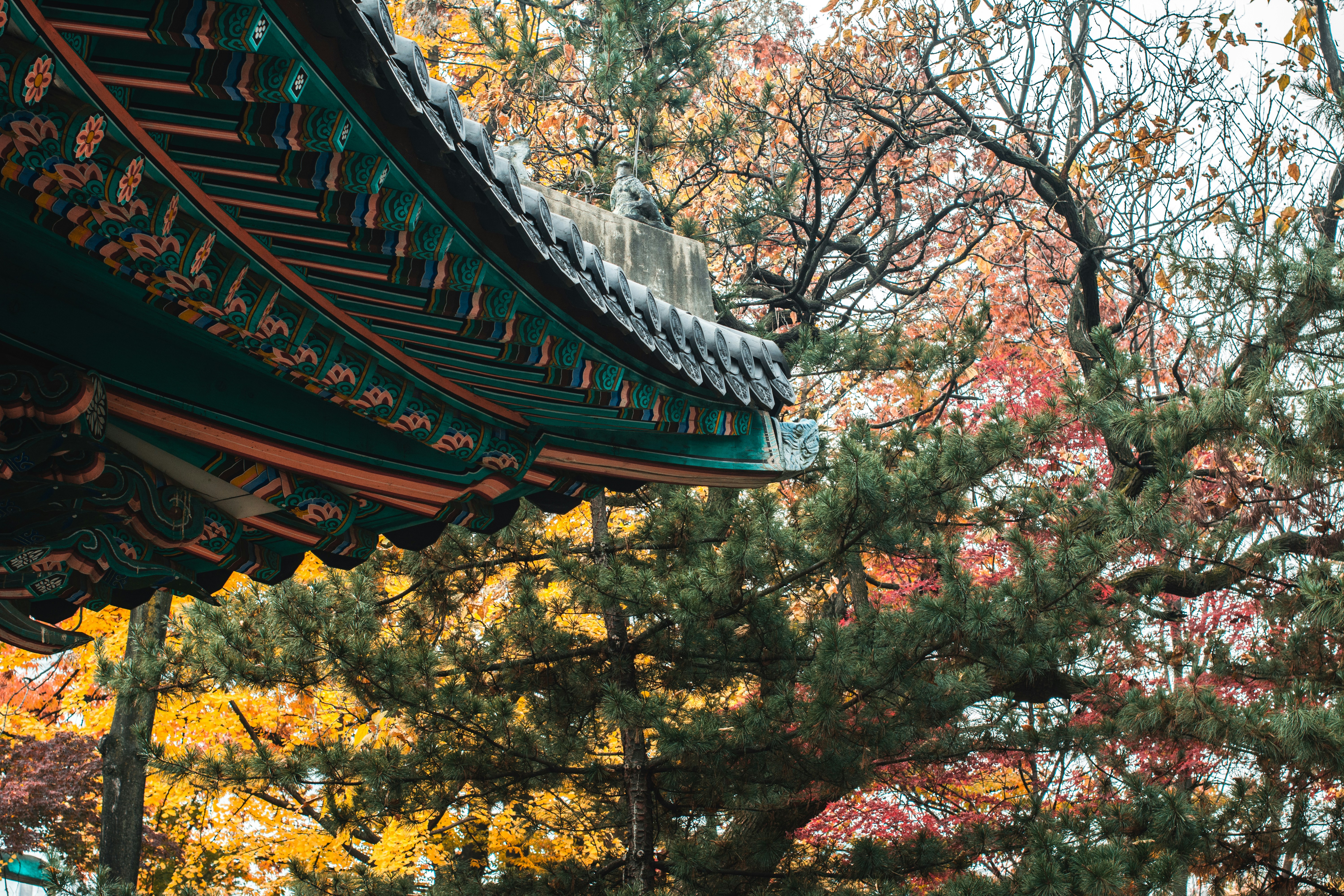 Photo by karljkhedin