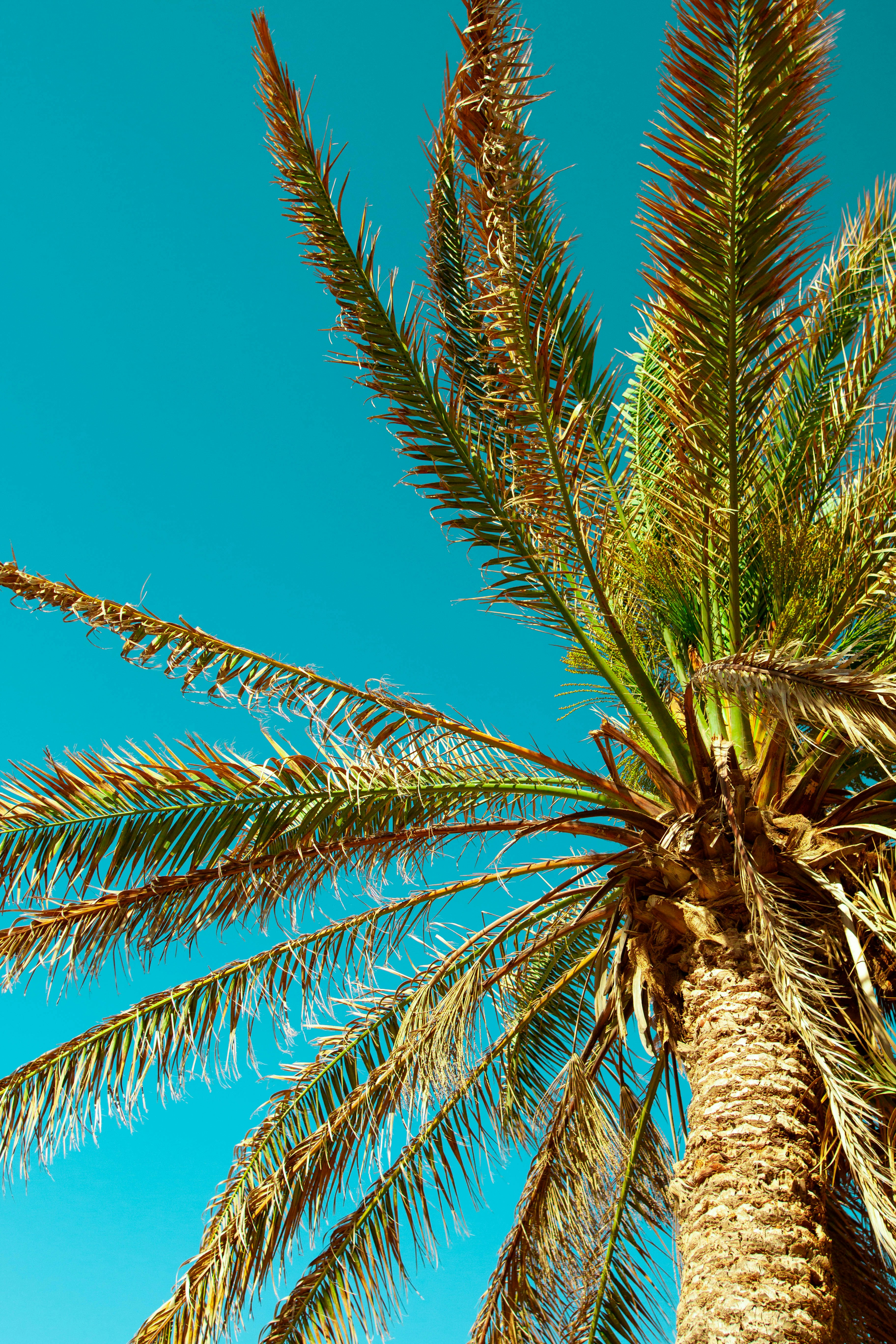 Photo by strvngefilmss