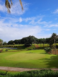 A lush green golf course featuring a putting green with a flagstick in the center. In the background, there is a landscape of rolling hills adorned with palm trees and other vegetation. The sky above is bright blue with a few scattered clouds.