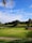 A lush green golf course featuring a putting green with a flagstick in the center. In the background, there is a landscape of rolling hills adorned with palm trees and other vegetation. The sky above is bright blue with a few scattered clouds.