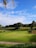 A lush green golf course featuring a putting green with a flagstick in the center. In the background, there is a landscape of rolling hills adorned with palm trees and other vegetation. The sky above is bright blue with a few scattered clouds.