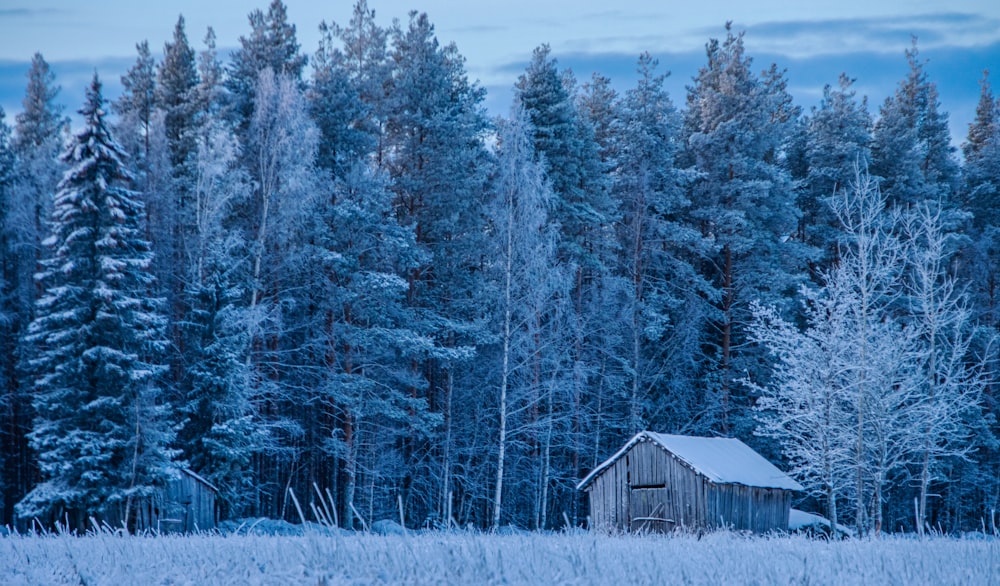 a barn in the middle of a snowy field