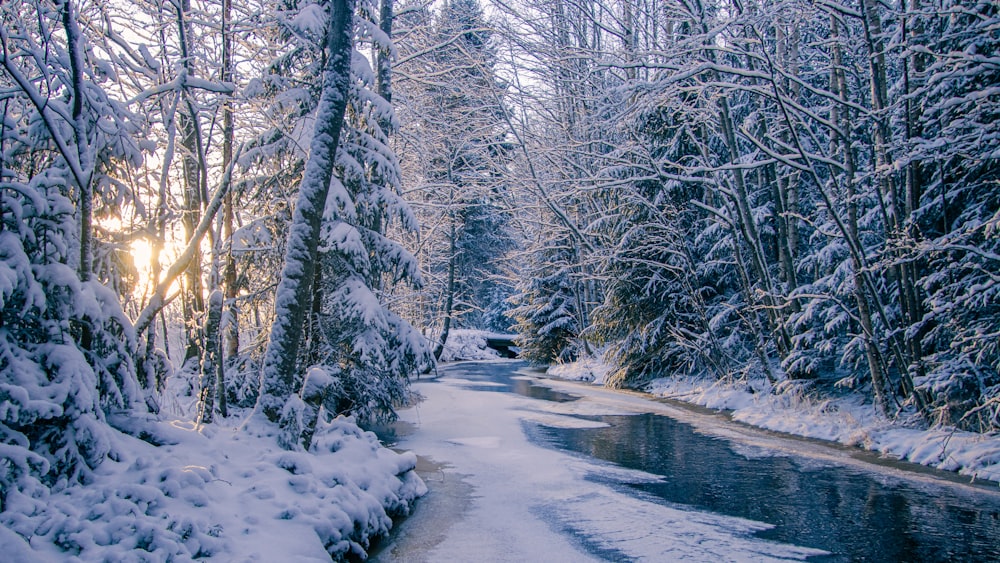 a river running through a snow covered forest