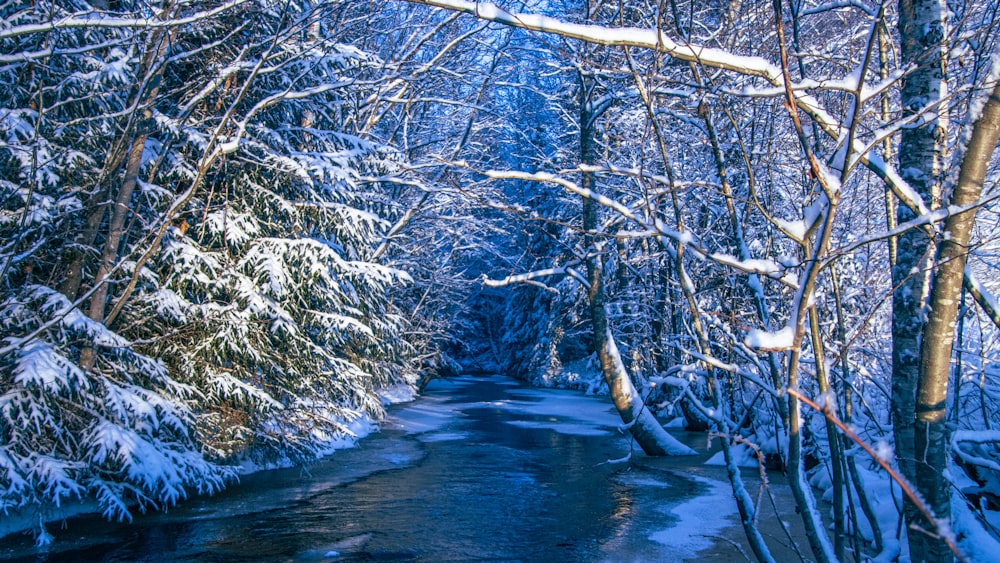 a river running through a snow covered forest