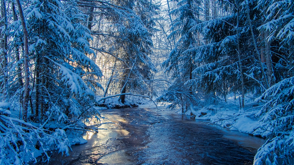 a river running through a snow covered forest