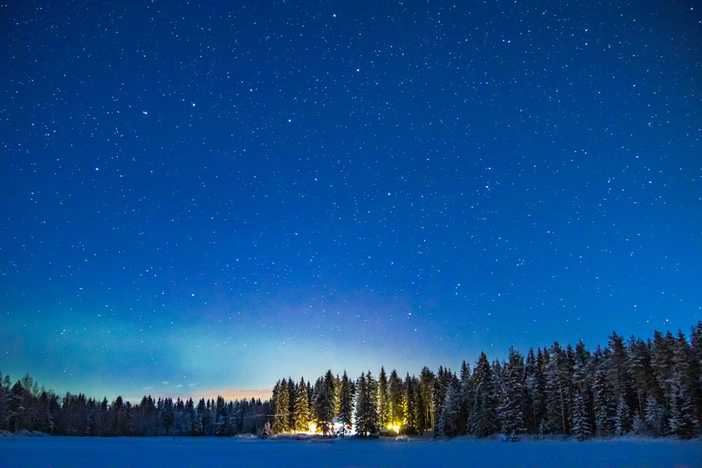 the night sky is lit up over a snowy field