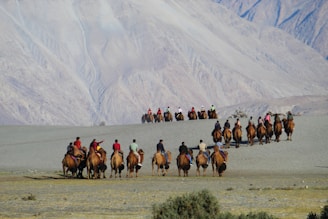 A group of people riding camels is traveling across a sandy landscape with a mountainous backdrop. The riders are dressed in a variety of clothing, and the scene suggests a leisurely or touristic activity.