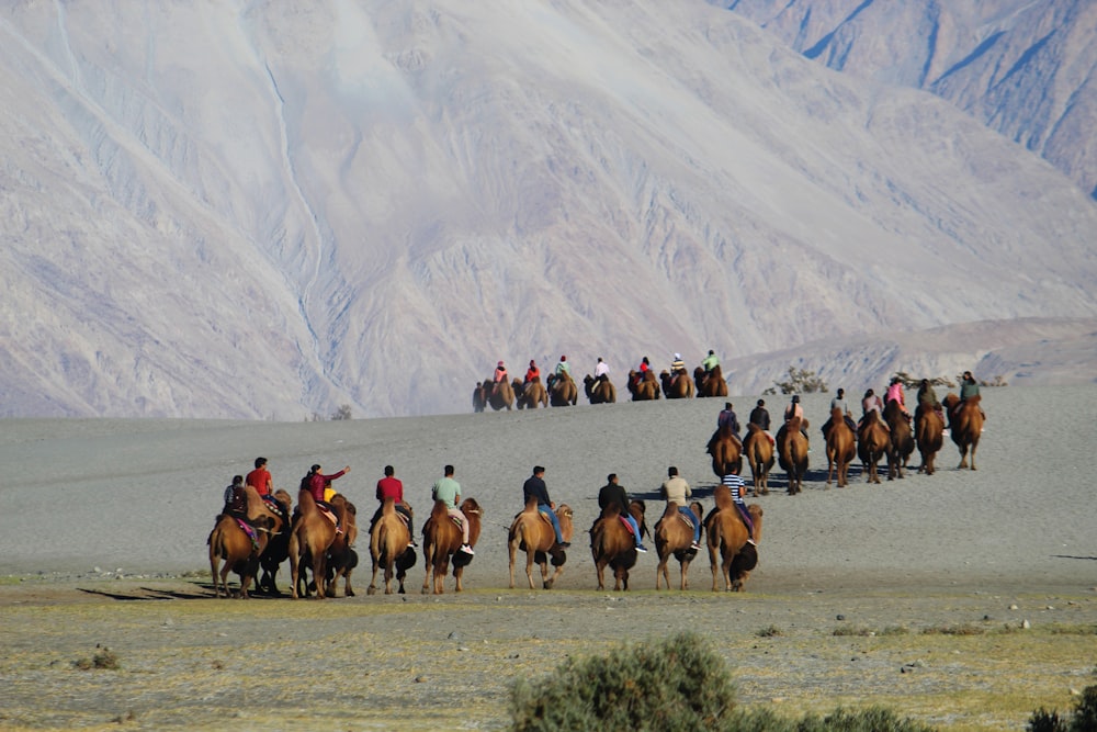 Eine Gruppe von Menschen, die auf dem Rücken von Pferden reiten