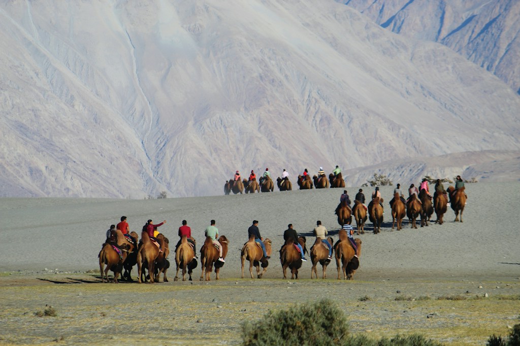 Sharm Desert Safari by Quad