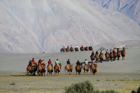A group of people riding camels is traveling across a sandy landscape with a mountainous backdrop. The riders are dressed in a variety of clothing, and the scene suggests a leisurely or touristic activity.