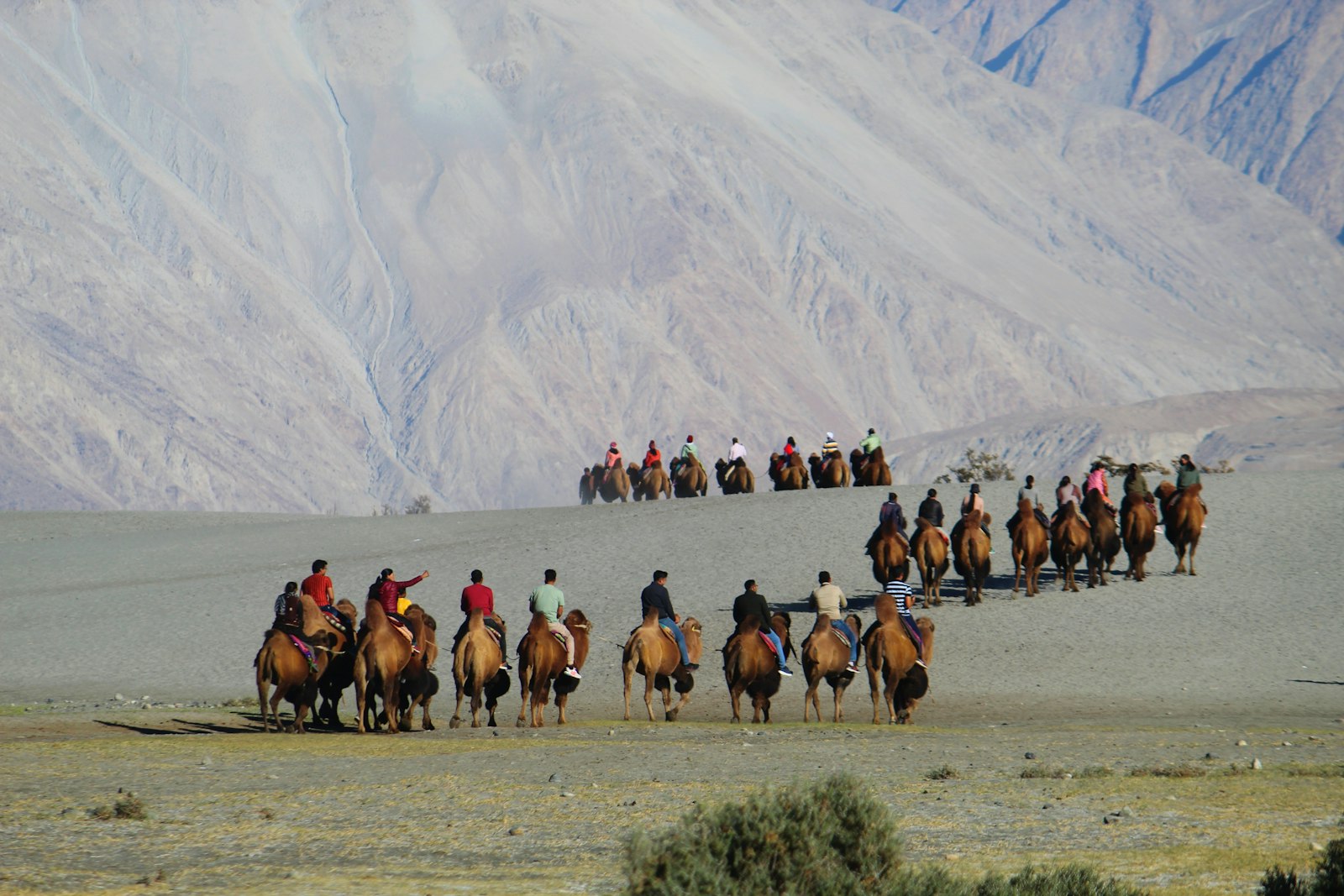 Nubra Valley Ladakh adventure