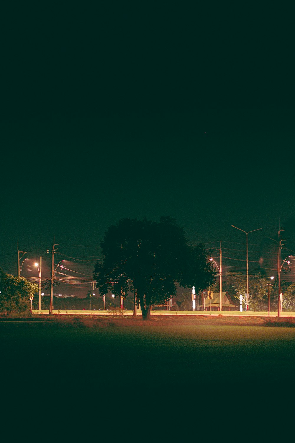a street at night with street lights and trees