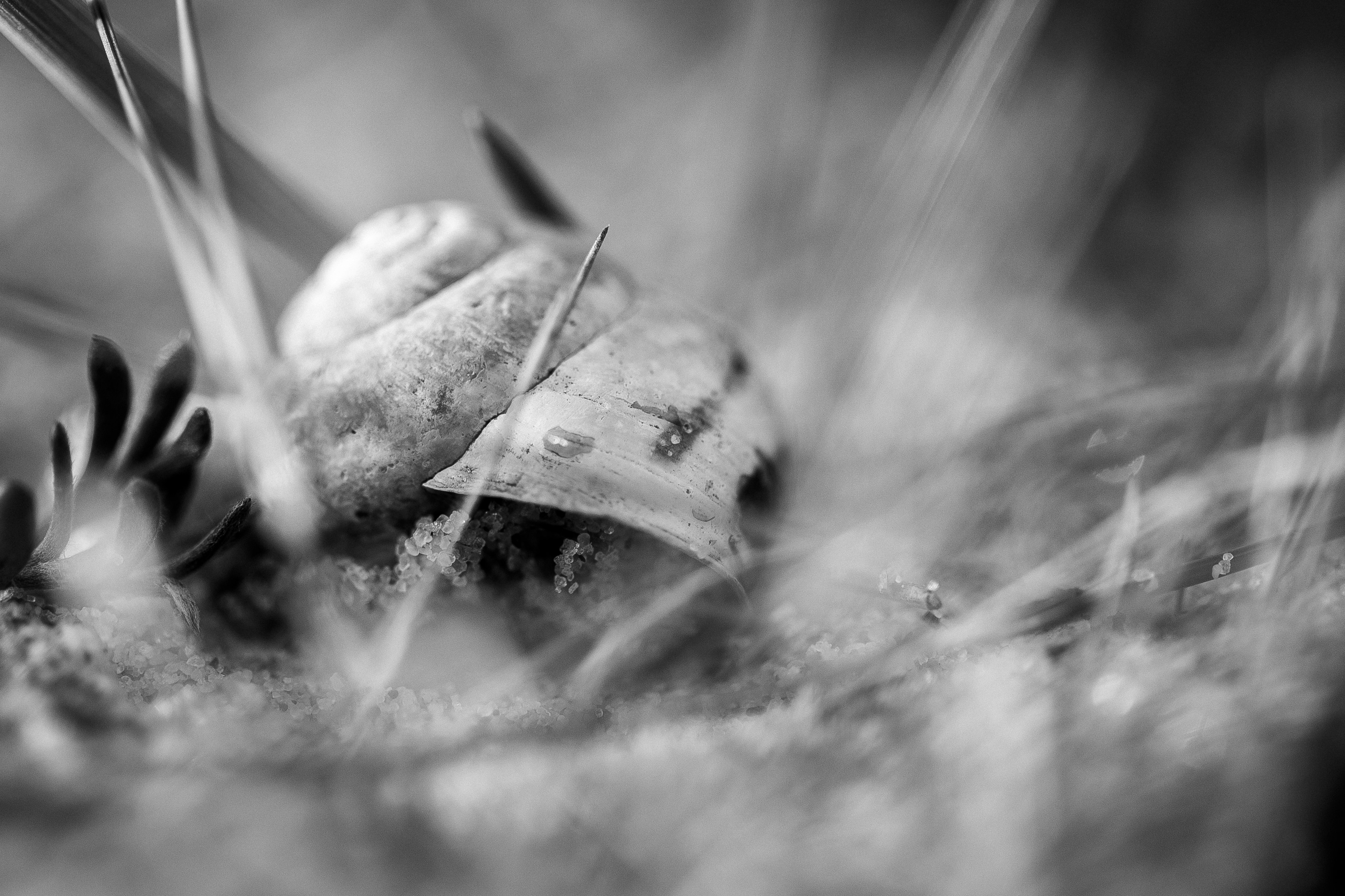 Photo by madseneqvist